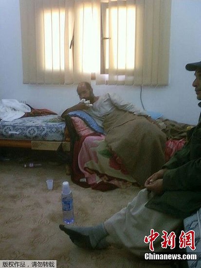 卡扎菲次子赛义夫被捕 何处受审尚未确定(图)