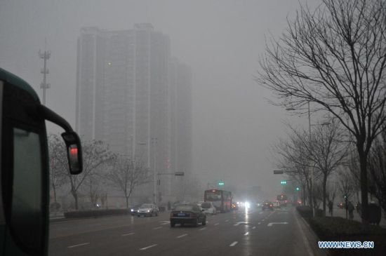 �ӱ�����������Ϯ ʯ��ׯ��������һƬ�Ұ�