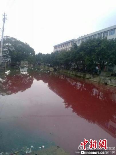 �㽭������Ⱦ��ɫ�� ���ѵ�٩�ֳ�����Ӿ(ͼ)