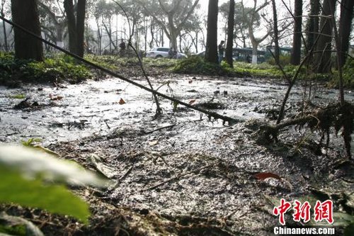 ��ˮֱ�ź����������۹��ѱ����(ͼ)