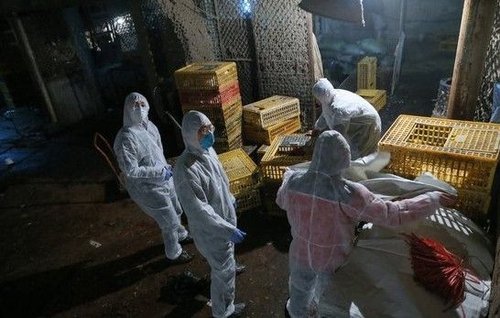 6�����Ϻ�����ʱֹͣ���ݽ��ף����رջ����г��� 