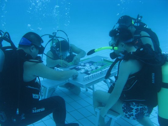 ����������Ϊ���������Ǳˮ�״��齫(ͼ)