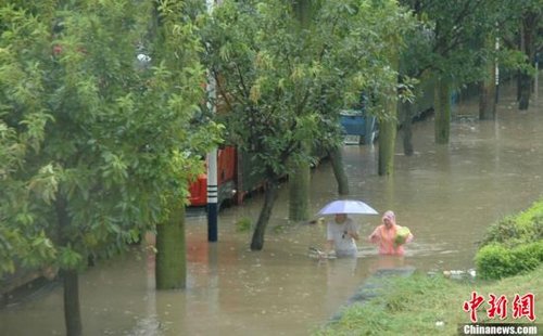 ̨�硰���ء��¹㶫54�������� ��ʧ��13��Ԫ