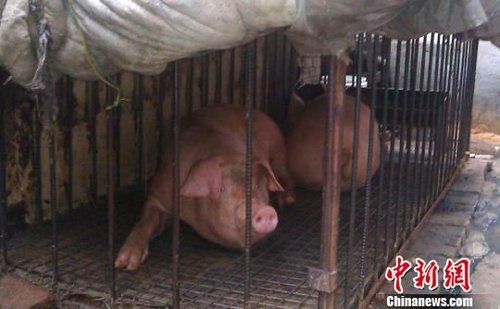 ��������һס��Υ�������ھӲ���������ǹܾٱ�