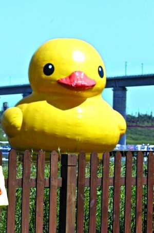 ������Ԩ̶������Ѽ��������©��������(ͼ)