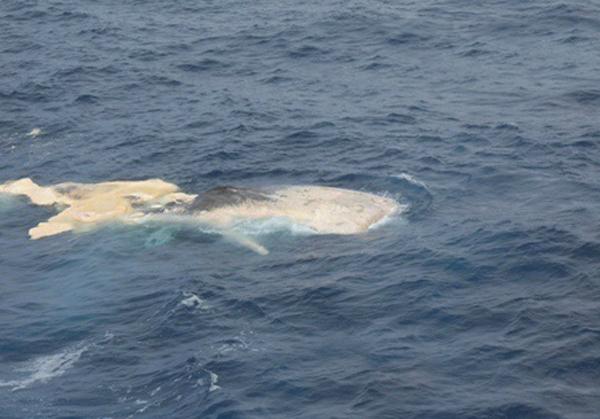 Ϊ������ʧ���ͻ��������