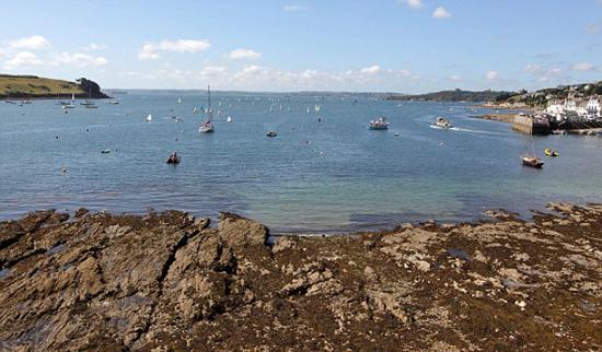 Ӣ����̲���־���Ͱˮĸ ֱ��1���ش�20���ͼ��