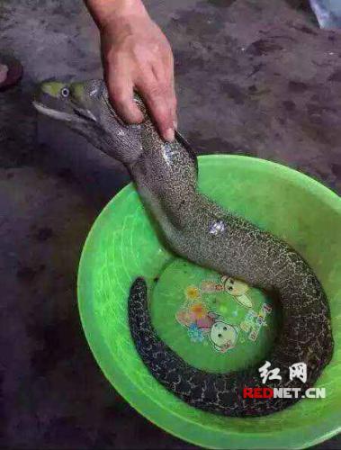 ����һˮ�����һ�������㡱������� ������