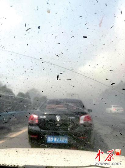 ����һ����·���սո�Ũ�̵�· �೵׷β2��6��