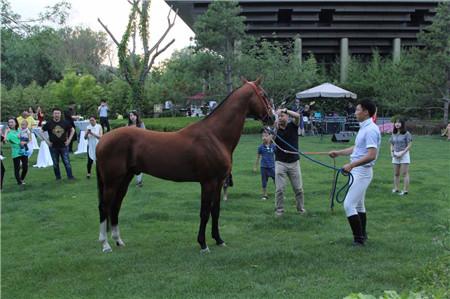 ��Ѫ�����ٴ����౱�� �ֹ����Ǳ����еı���